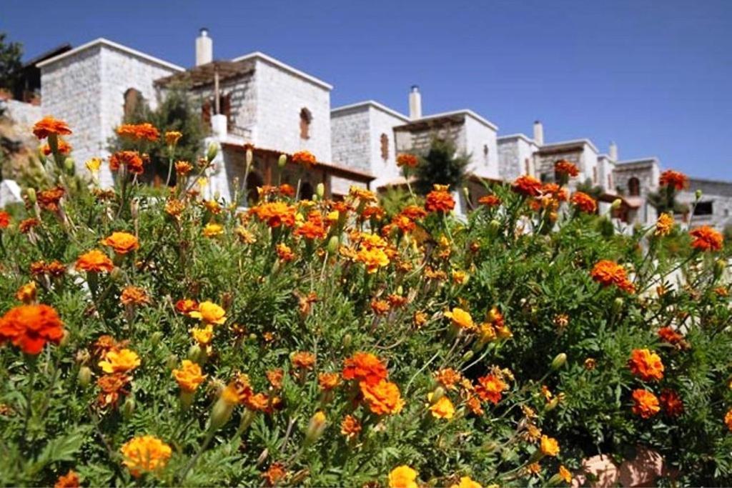 Lefkoritis Resort Askifou Sfakia Petrés 외부 사진