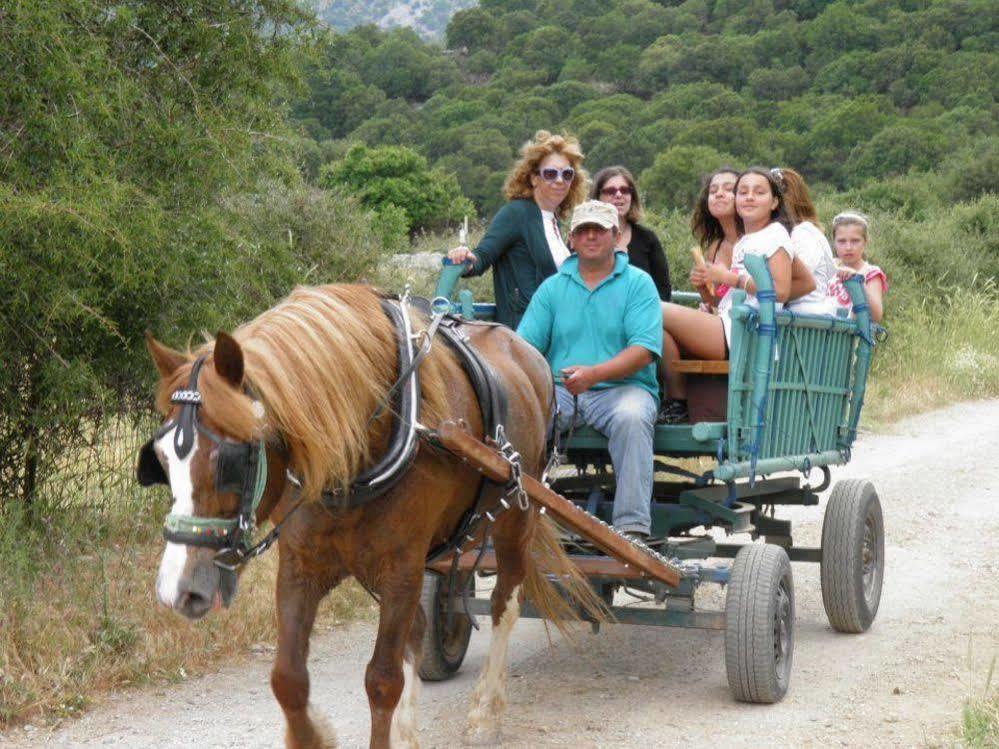 Lefkoritis Resort Askifou Sfakia Petrés 외부 사진